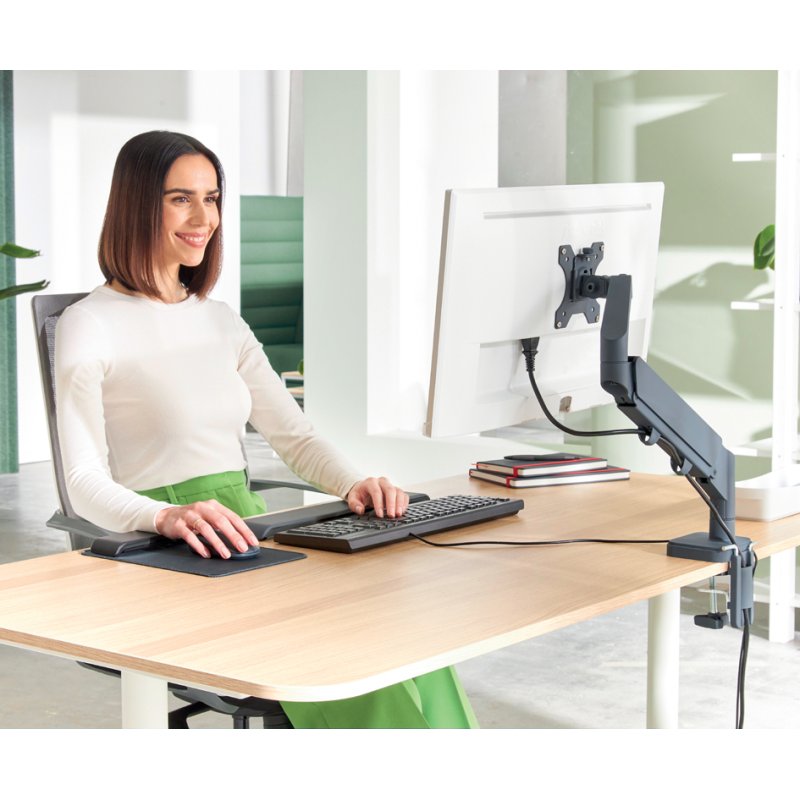 LEITZ monitor arm Ergo, metal, light grey, 17–32 inch