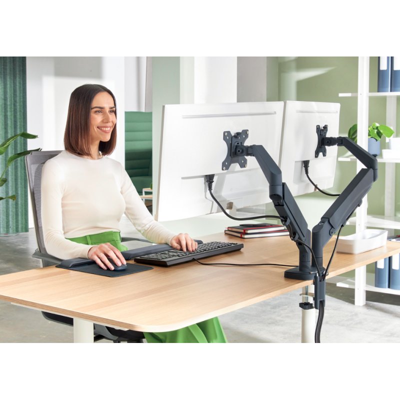 LEITZ Ergo monitor arm with clamp, velvet grey, 453 mm