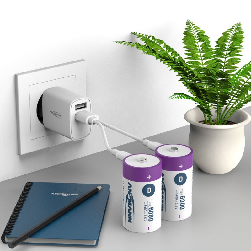 ANSMANN Li-Ion oplaadbare D batterijen, USB-C, 6000 mAh, 2 stuks