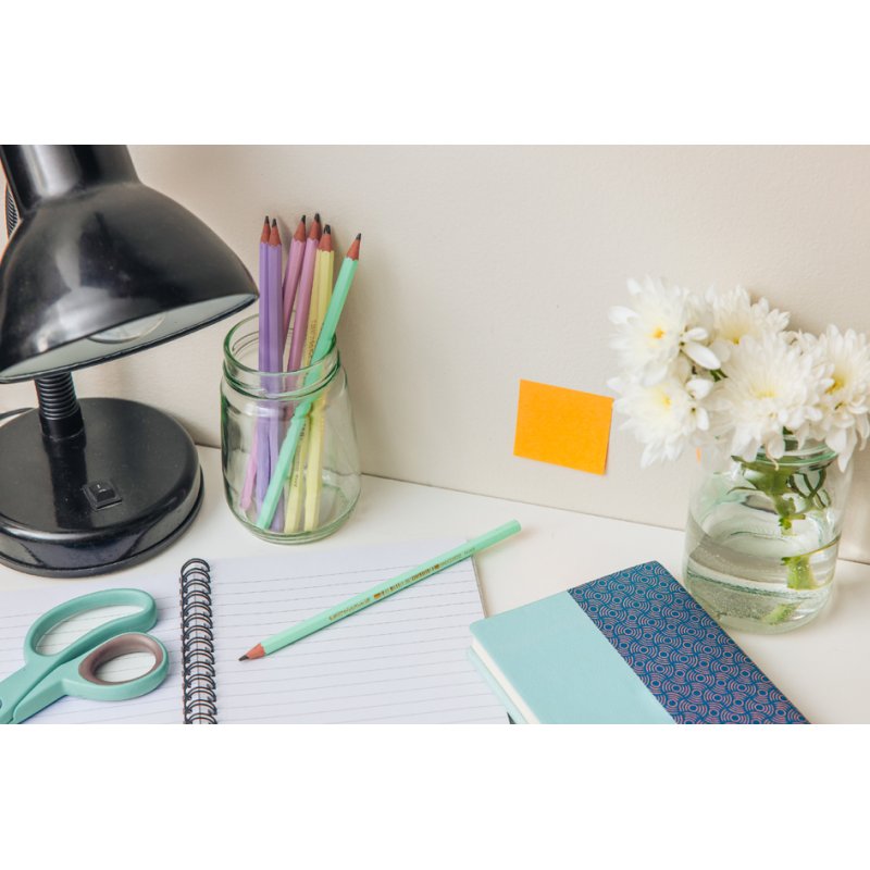 Bic Evolution Pastel potloden, pastelkleuren, HB, 12 stuks