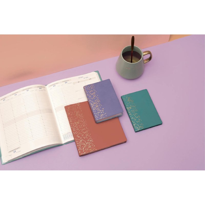 EXACOMPTA zakagenda Horizons 13, week op 2 pagina's, 90×130 mm, geassorteeerde kleuren