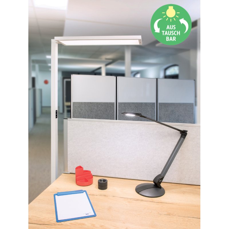 MAUL Lampadaire LED MAULsenja, gradable, blanc, 87 W