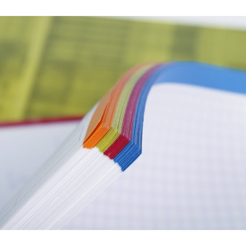 Clairefontaine Bind'O notebook, integral binding, 240 pages