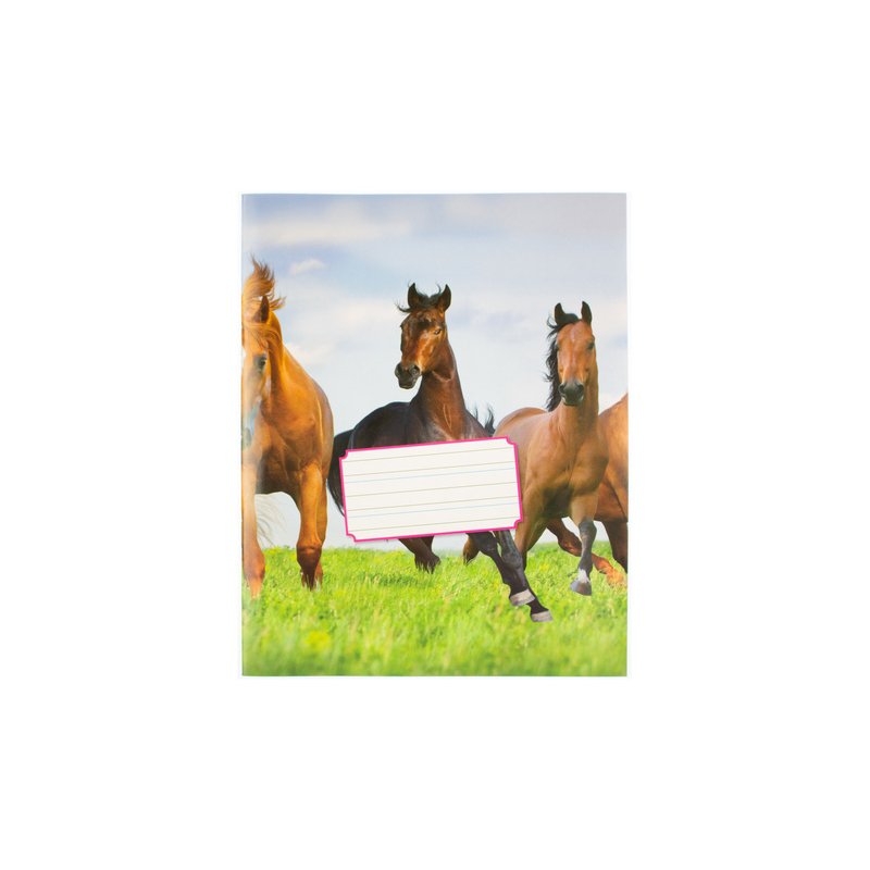 Kangaro exercise book, ruled, 36 pages, assorted colour