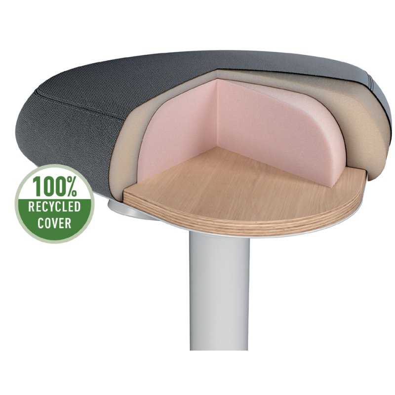 LEITZ chaise de bureau ergonomique Ergo Active, gris foncé, réglage hauteur 47-64 cm