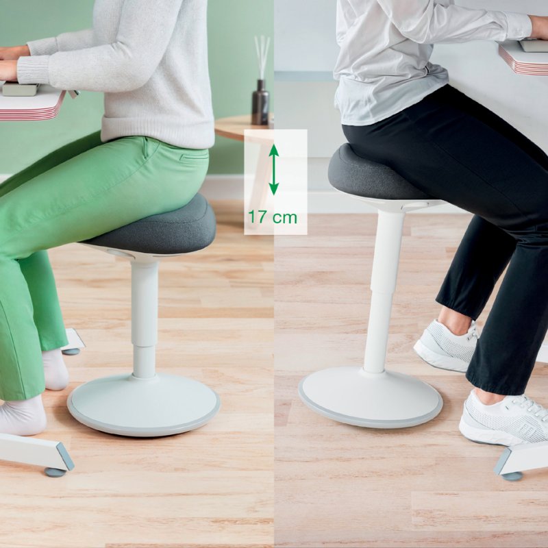 LEITZ chaise de bureau ergonomique Ergo Active, gris foncé, réglage hauteur 47-64 cm