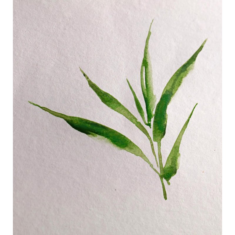 Clairefontaine BAMBOO watercolour pad A5, white, 20 sheets