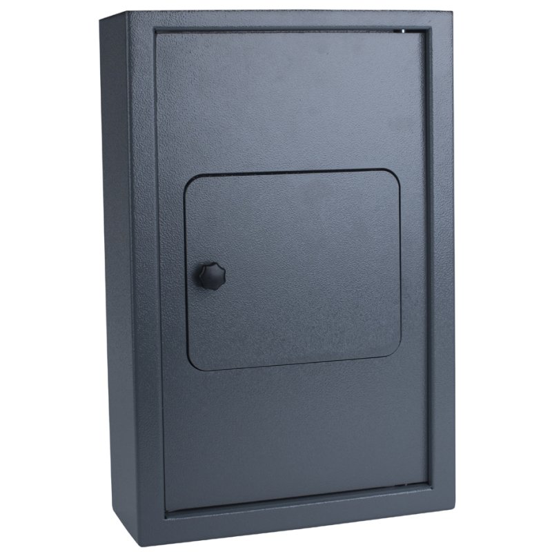 pavo Armoire à clés High Security outdoor, gris foncé, pour 50 clés, résistant aux intempéries