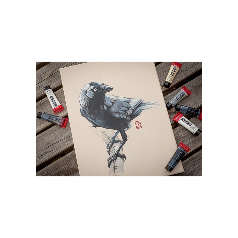 ROYAL TALENS Amsterdam peinture acrylique ensemble de gris, 6 x 20 ml