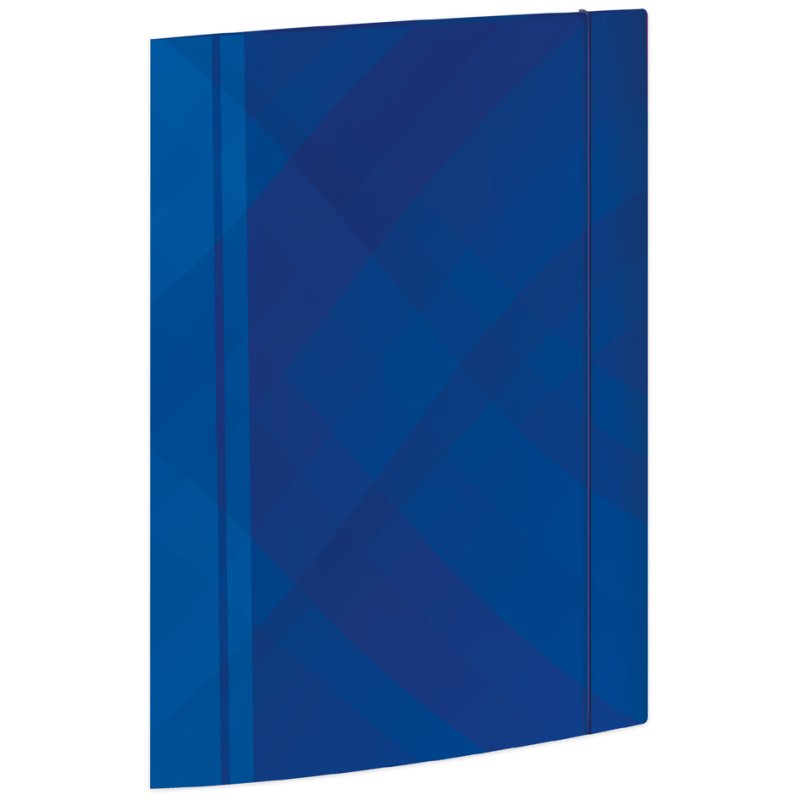 RNK Verlag chemise carton Business, bleu, A4, élastique