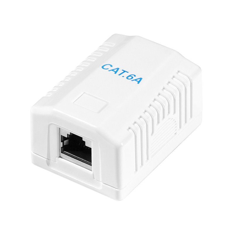 LogiLink Professional boîtier saillie Cat.6A, 2x connecteur RJ45, blanc