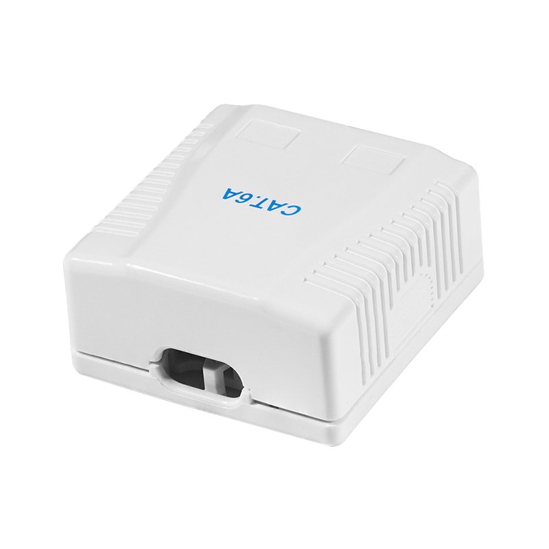LogiLink Professional boîtier saillie Cat.6A, 2x connecteur RJ45, blanc