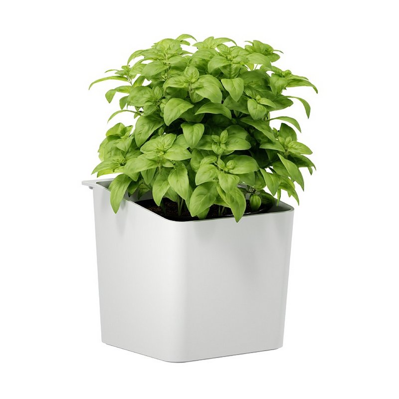 tesa KITCHEN spice jar, white, plastic, 135×145×135 mm