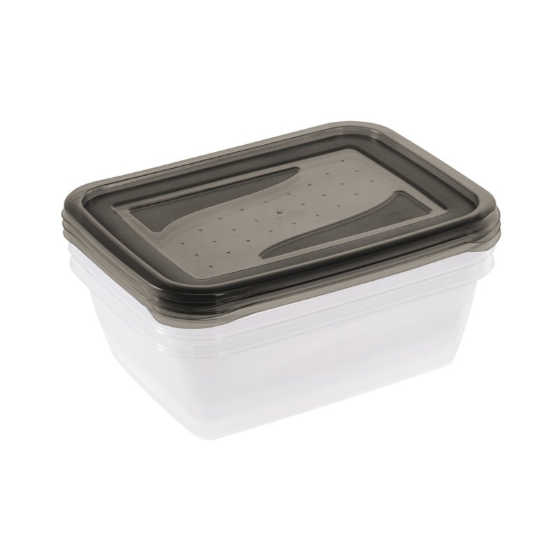 Keeeper boîte de conservation fredo fresh, 2x 2,0 litre, rectangulaire, gris transparent