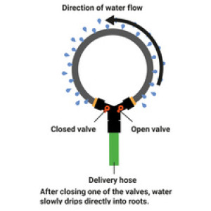 Bradas watergevingsring met ventielen, 1/2", 2,0 m