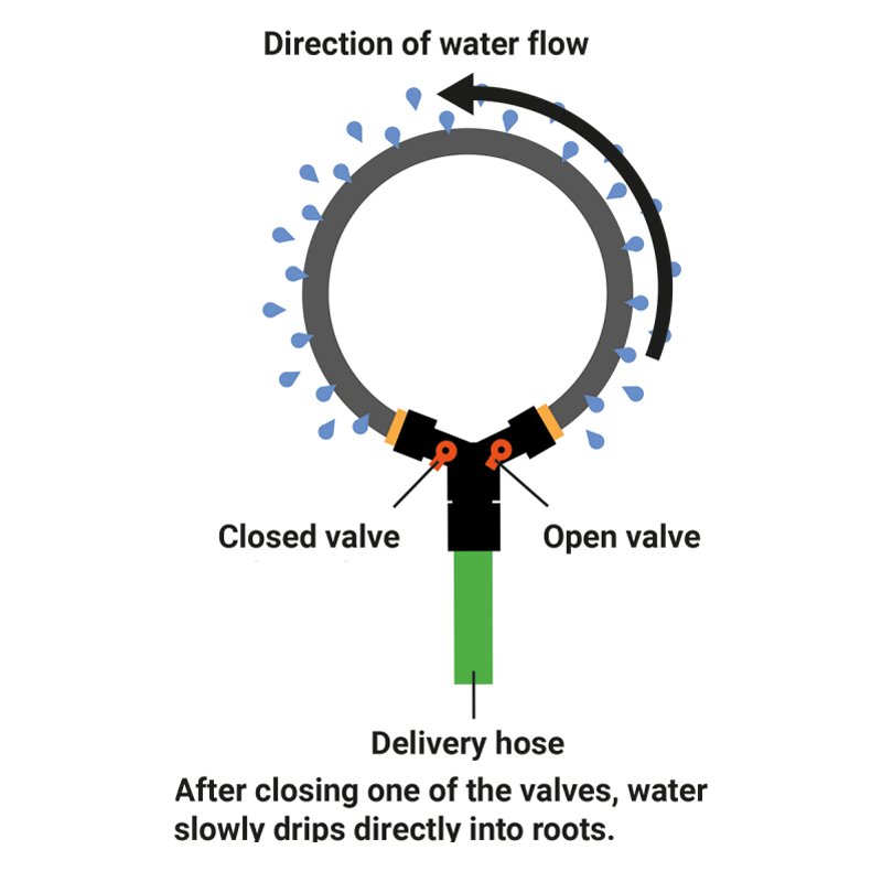 Bradas bewateringsring met ventielen, 1/2", 1,5 m