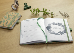 sigel Agenda Hebdomadaire Jolie Pure 2027 'Sparkle Leaves', A6, 95 x 150 mm, vert menthe