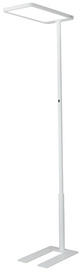 Hansa Lampadaire LED Capella, 80W, blanc, hauteur 2020 mm