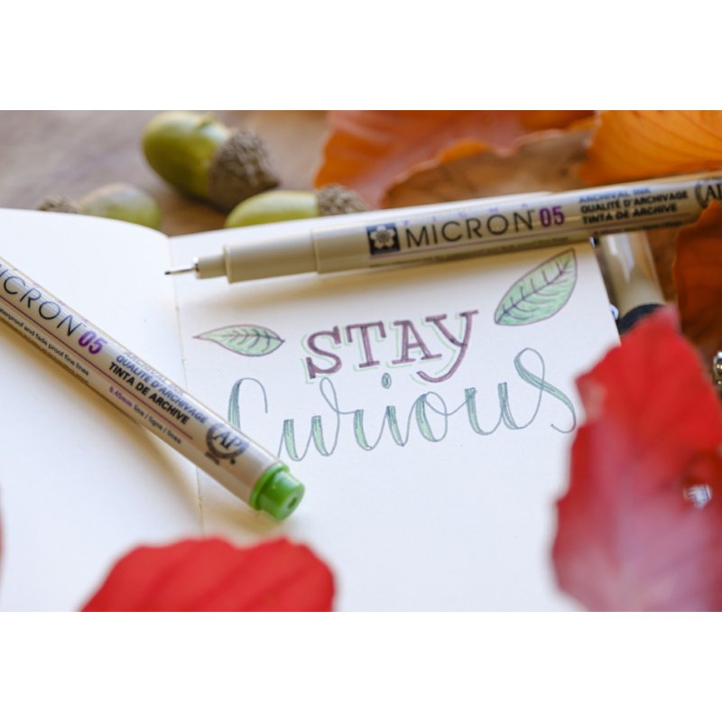 SAKURA PIGMA MICRON fineliner, 0.45 mm, earth tones, 6 pieces
