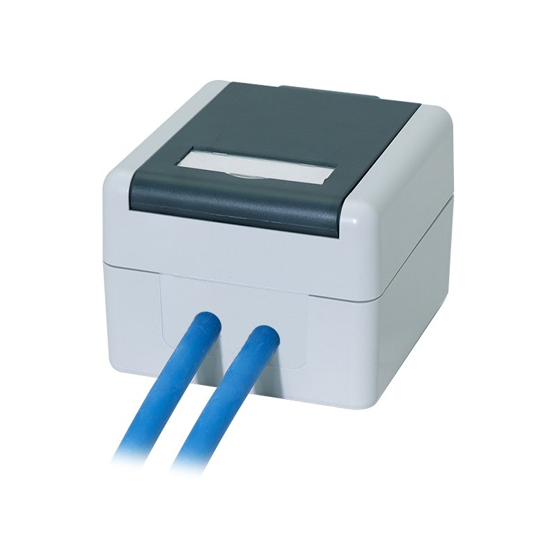 LogiLink Professional outdoor surface-mounted box Cat.6A, 2x RJ45, grey, IP44