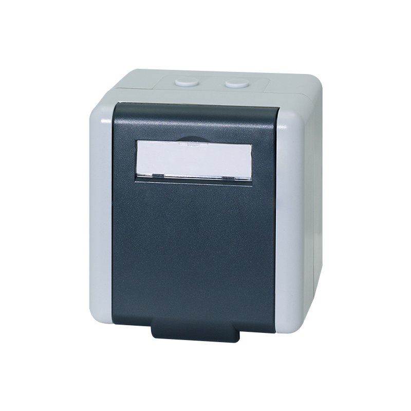 LogiLink Professional outdoor surface-mounted box Cat.6A, 2x RJ45, grey, IP44