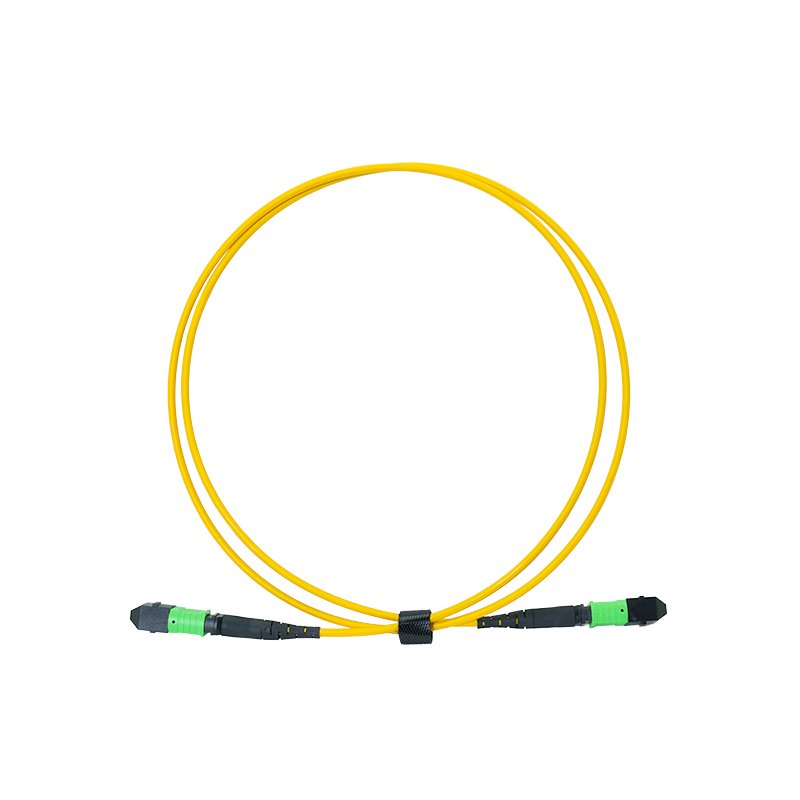 LogiLink Professional MPO cordon de brassage, 12 fibres, singlemode OS2, 10 mètres