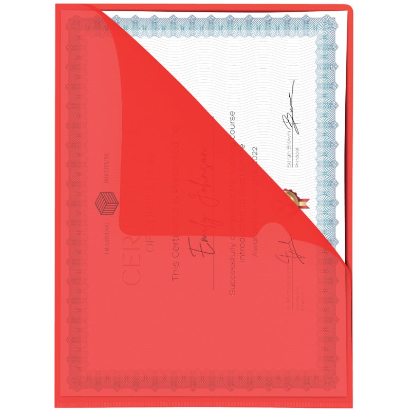 Pavo showmap A4, PP 0.12 mm, textured coloured, 50 pieces
