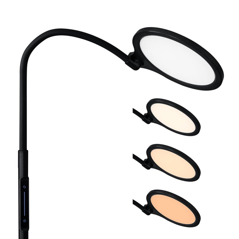 Hansa LED floor lamp ATRIA, matt black, 12W, 800 lumens
