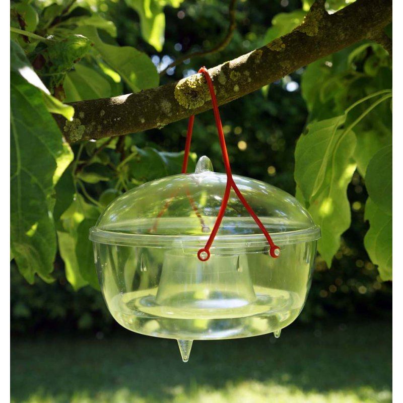EDA wasp trap 18.5, transparent/red, outdoor use, 0.75 litres, hanging loop