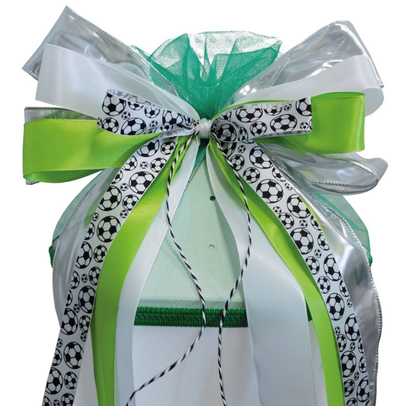 ROTH voetbalschouderlint Soccer, groen/blauw, 230×500 mm