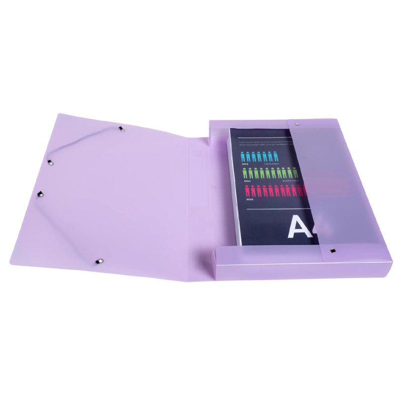 EXACOMPTA boîte de rangement Chromaline Pastel, A4, PP avec élastique, 8 pièces