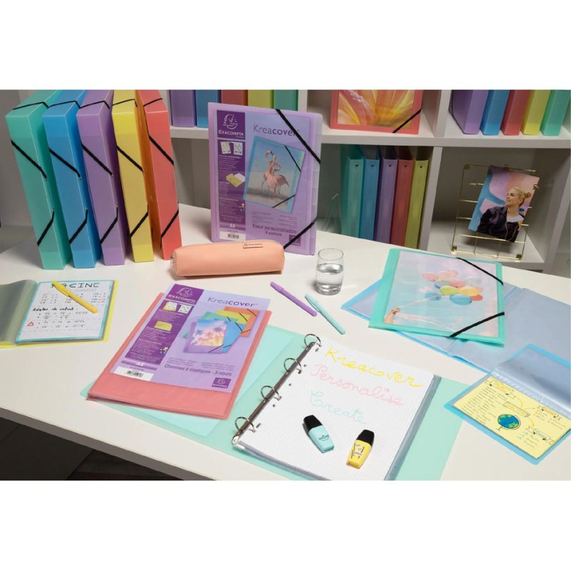 EXACOMPTA Chemise à fenêtre A4, PP, 40 pochettes, couleurs assorties