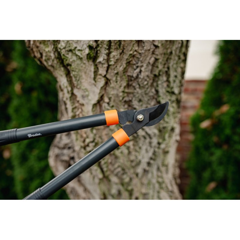Bradas takschaar Byp, bypass mes, antraciet/oranje, max 40 mm