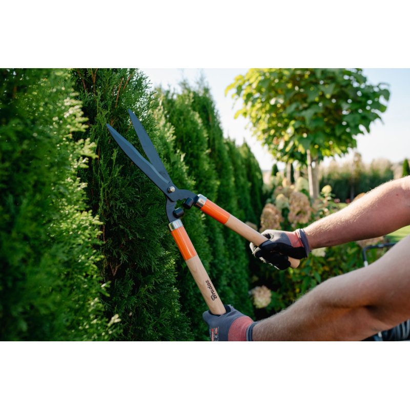 Bradas sécateur à haies V-SERIES WOOD, acier SK5, 600 mm, poignées en bois