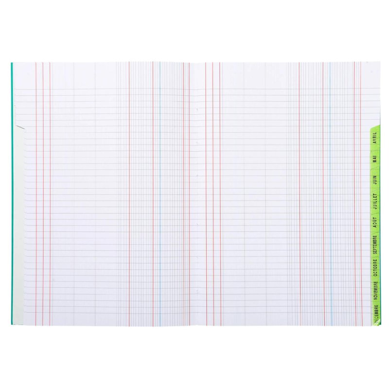 Le Dauphin carnet Piqûre, 96 pages, couverture souple, mélange de couleurs