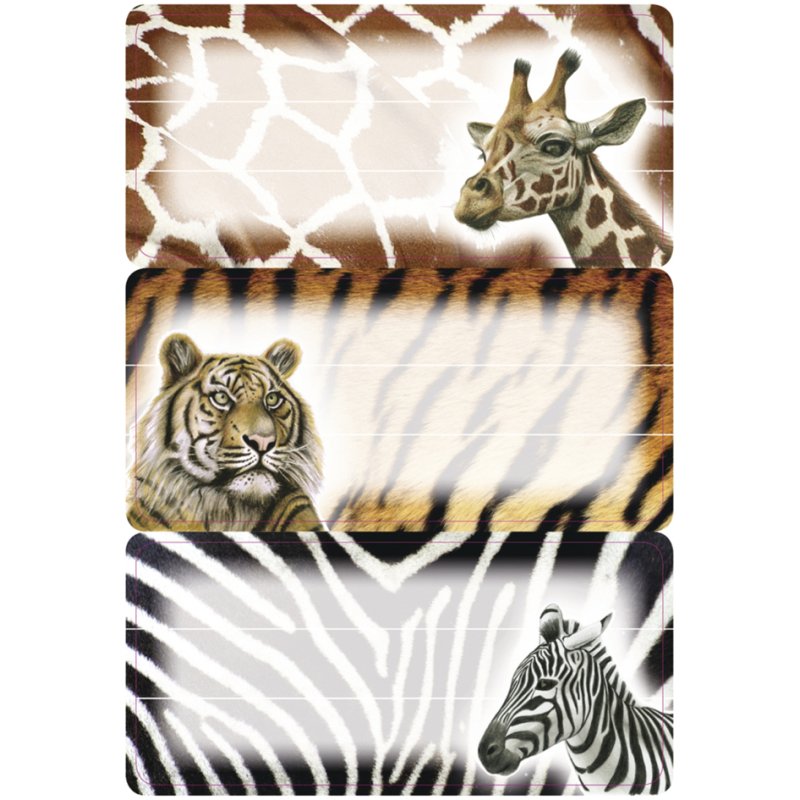 HERMA étiquettes pour livres Animaux africains, 76×35 mm, autocollantes, 9 pièces
