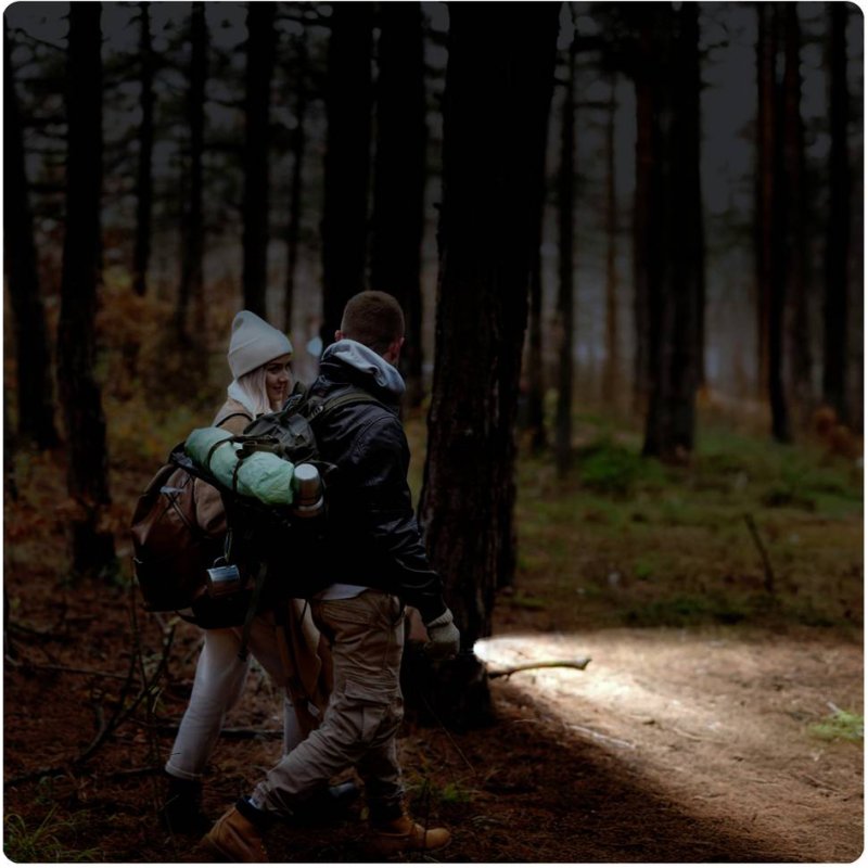ANSMANN Lampe de poche LED Adventure TA300BF, 300 lumens, noir, sangle
