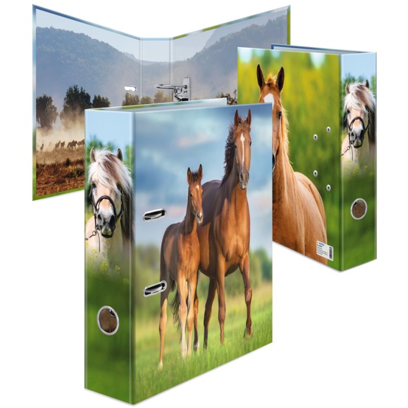 HERMA Classeur Motif Li, carton robuste, 70 mm