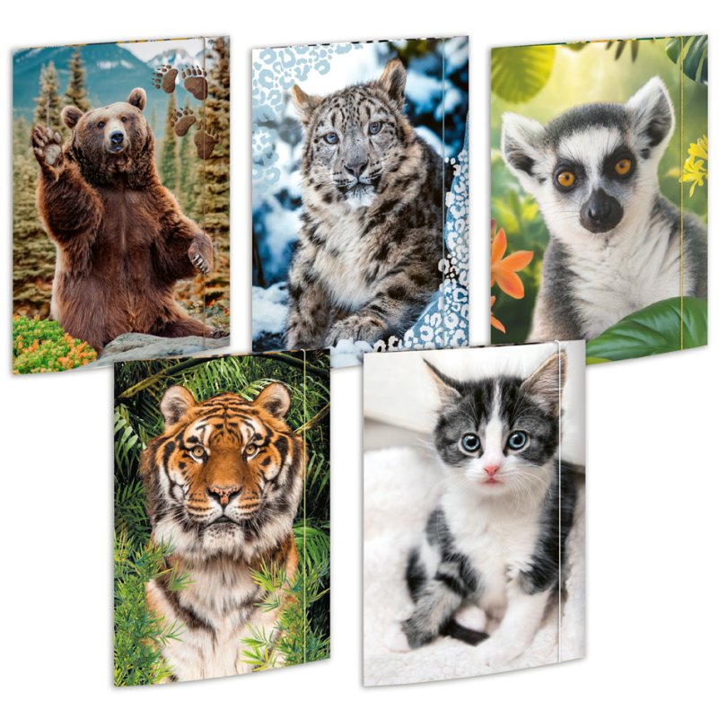 RNK Verlag Carton à dessins Tiere, A3, élastique coloré, 15 pièces