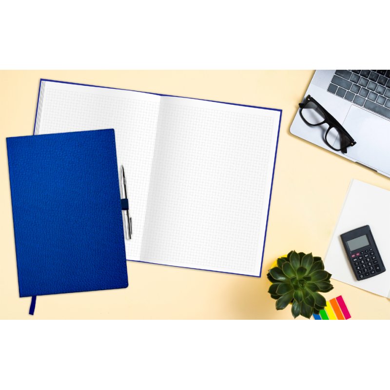 RNK Verlag notebook Softline Pro, blue, squared, A4, 80 sheets