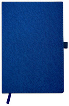 RNK Verlag notitieboek Premium Softline Pro, geruit, A5, 80 vel