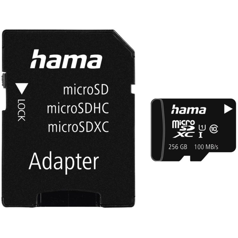 hama carte mémoire Micro SecureDigital XC, classe 10, 256 GB