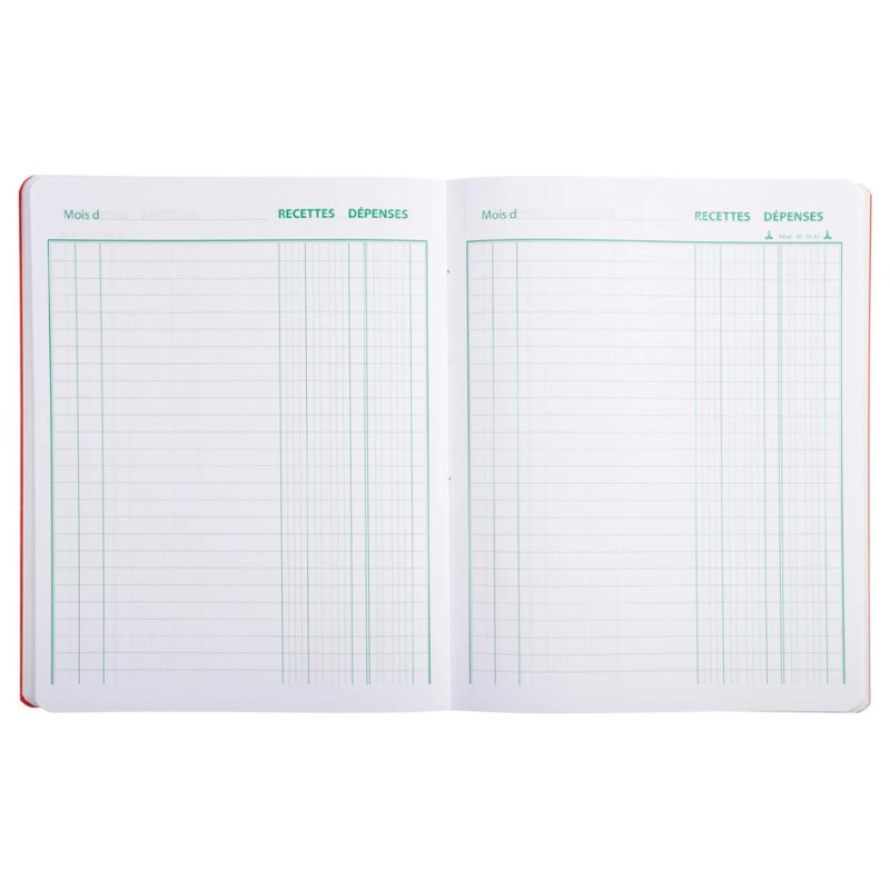 Le Dauphin Registre de caisse Piqûre, 220 × 170 mm, 80 pages, couverture colorée