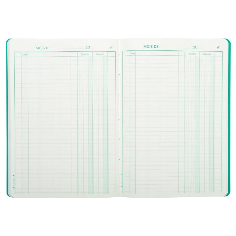 Le Dauphin Recettes-Dépenses cash book, 297 × 210 mm, mixed colours, 80 pages