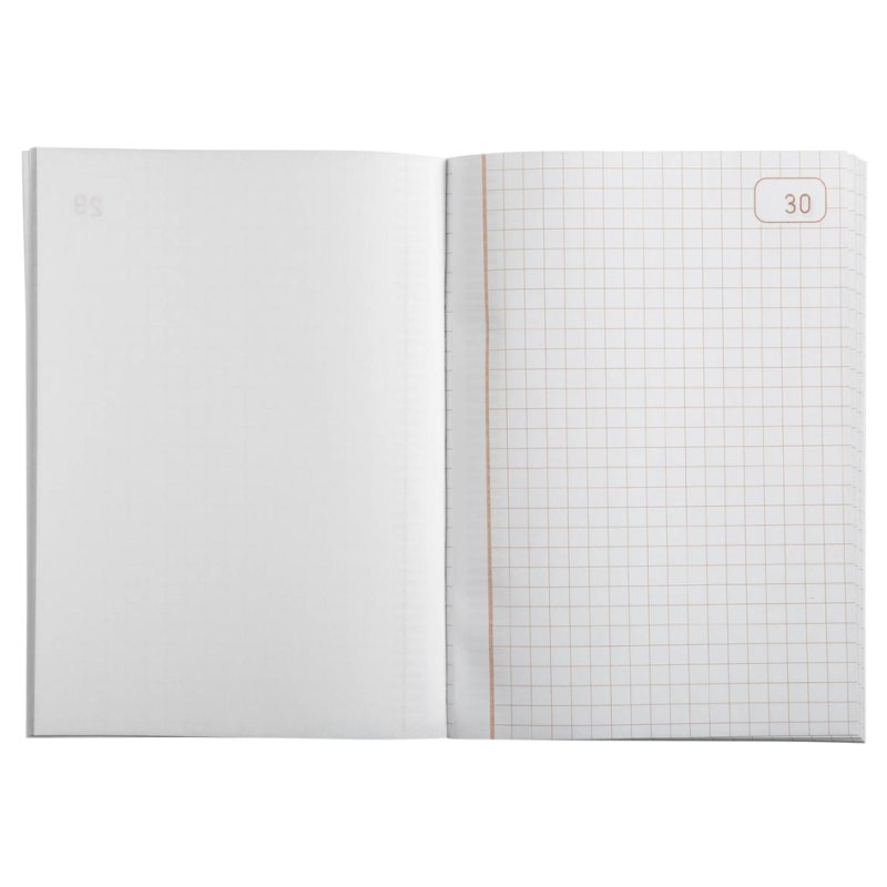 Le Dauphin papier manifold autocopiant, 50 feuillets numérotés, 148×210 mm, quadrillé 5×5 mm