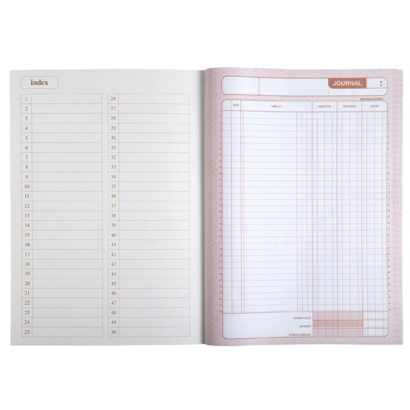 Le Dauphin manifold Recettes-Dépenses, dupli, 297×210 mm, 50 feuilles