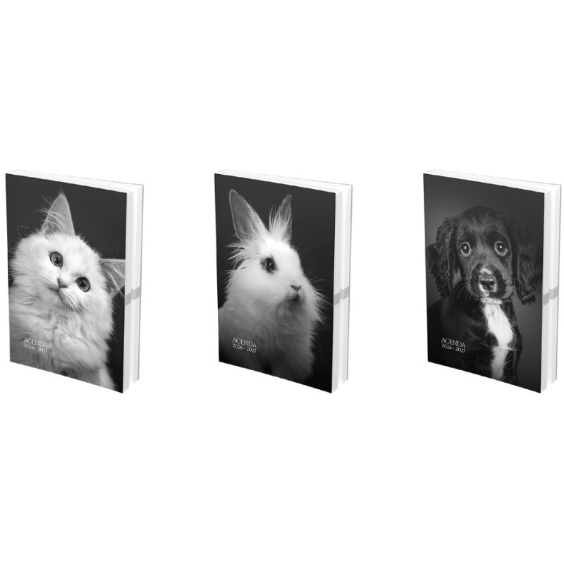Oxford agenda scolaire PRINT ANIMAUX 2026/2027, 120×170 mm, 1 jour par page, 6 pièces
