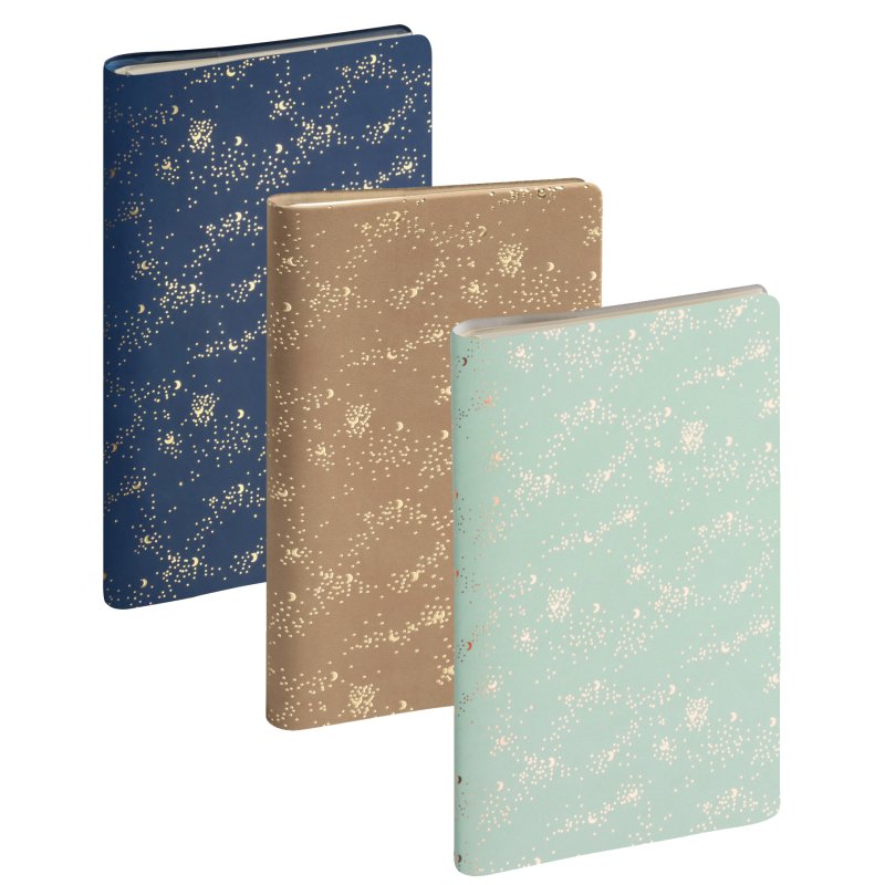 EXACOMPTA Méline pocket diary, spiral-bound, 160 × 90 mm, pack of 5
