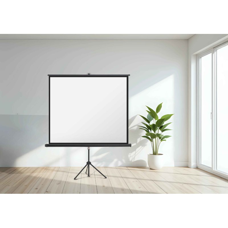 magnetoplan Stativ-L projection screen, folding tripod stand, 2440 x 1830 mm, 4:3