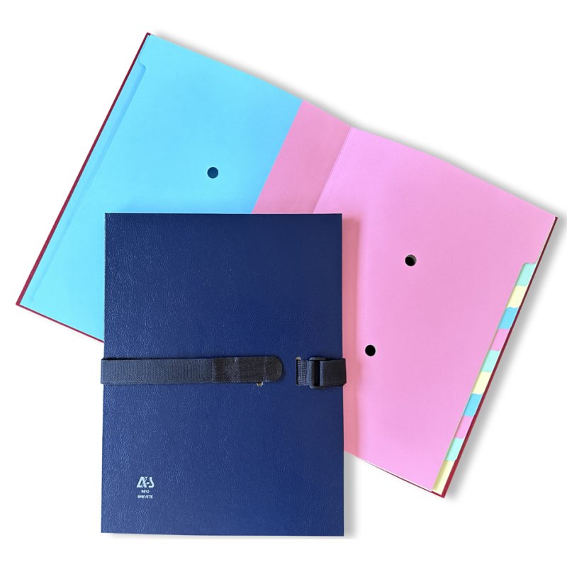 extendos Arianex trieur SANGLEX, bleu, 12 compartiments, dos extensible